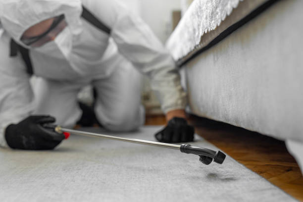 Professional Termite Control technician working in Beavercreek, OH
